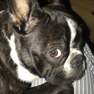 Meet your Posher, Beverly